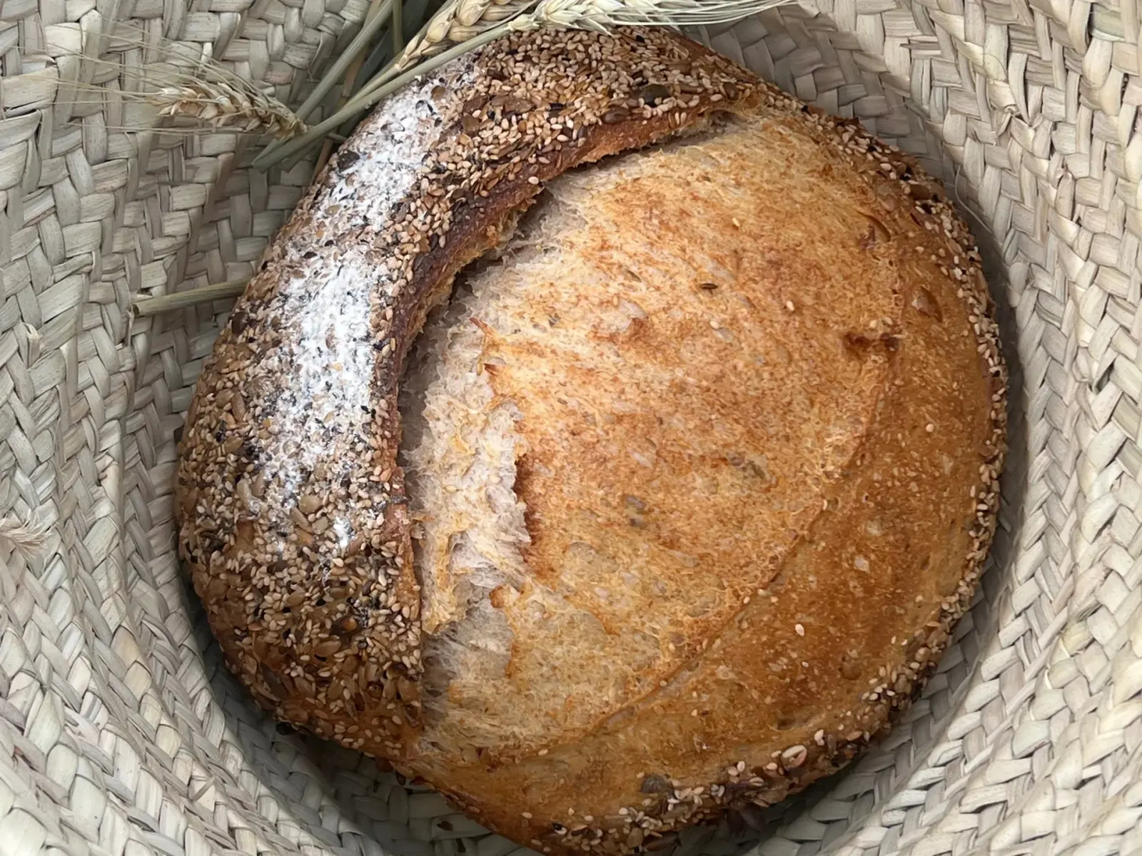Floured rustic loaf in a woven straw basket